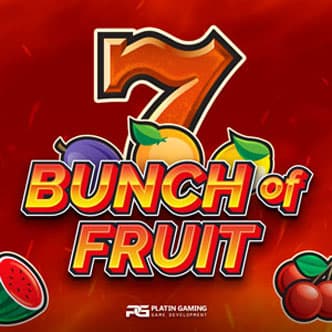 Bunch of Fruit