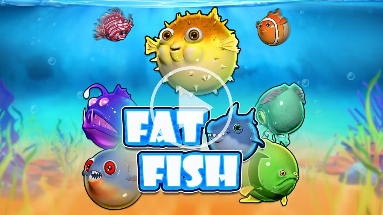 Fat Fish Video Preview